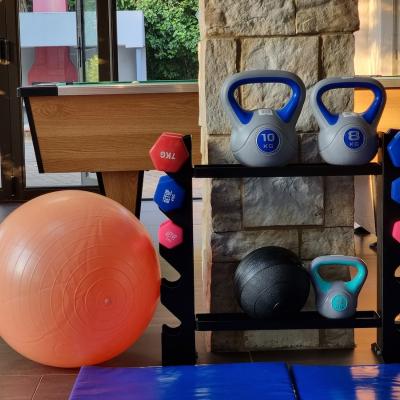 Basic dumbbells, kettlebells, balls and matts for working out