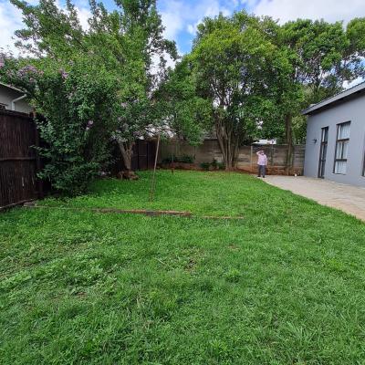 Backyard image 1