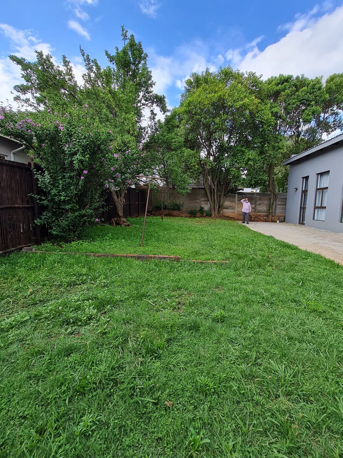 Backyard image 1