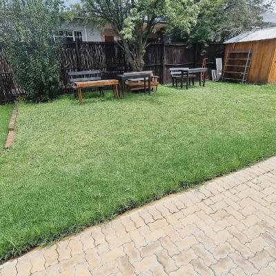 Outdoor seating area under a plum tree