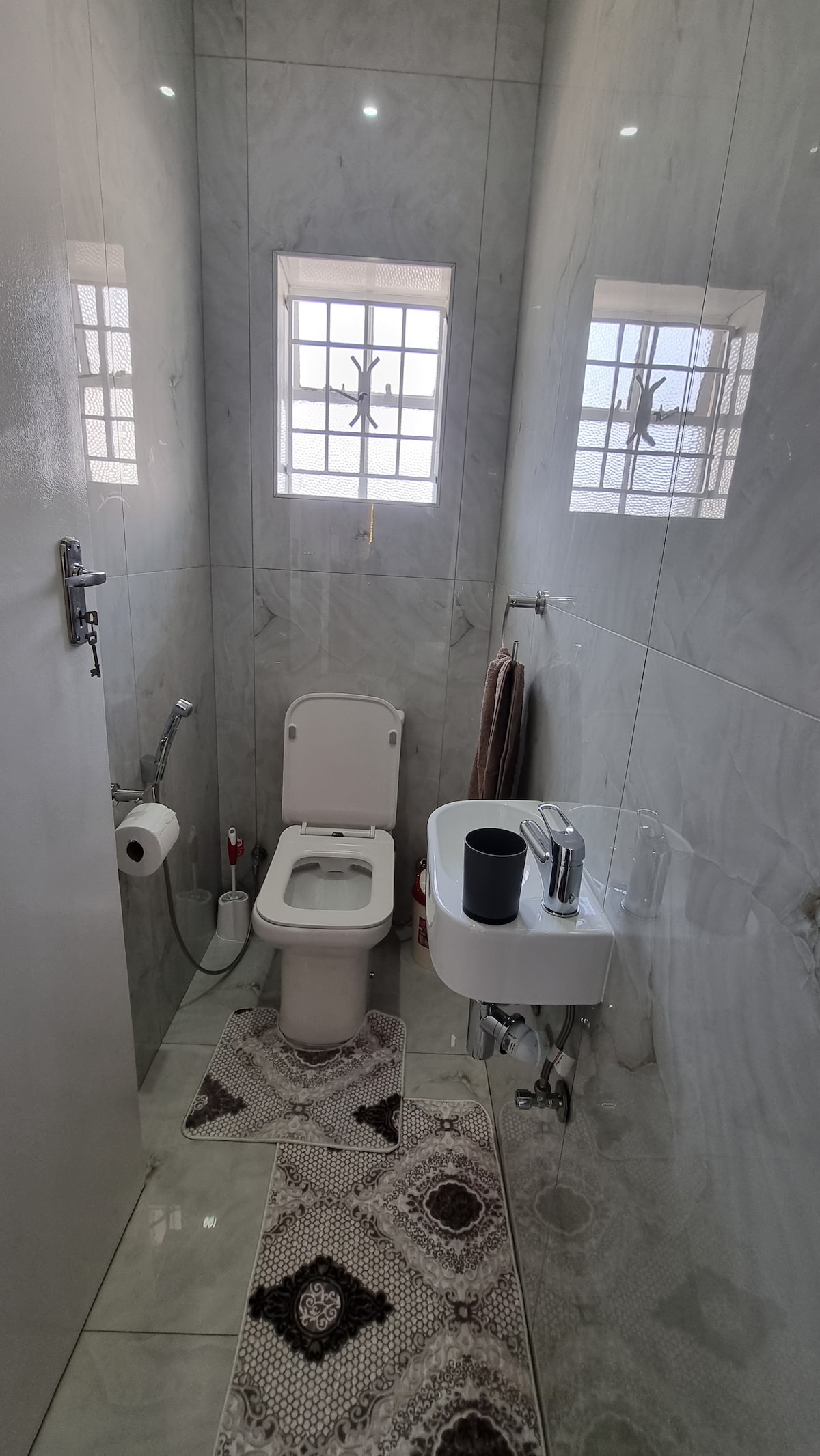 Tiny guest loo